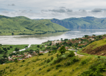 As Rebels Take Goma, Protests Turn Violent in Congo’s Capital