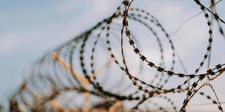 Federal Judge Blocks Trump Administration from Transferring Venezuelan Migrants to Guantanamo