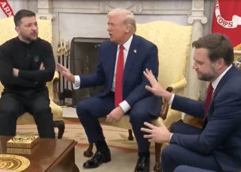 Trump and Zelensky Clash in Heated White House Meeting