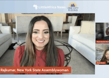 Jenifer Rajkumar Committed to Integrity and Common-Sense Leadership in Public Advocate Bid