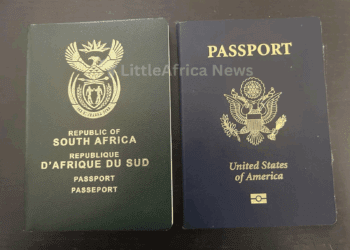 Constitutional Court Strikes Down Law Stripping South Africans of Citizenship for Acquiring Another Nationality