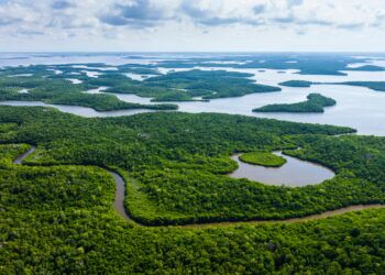 Florida Sued Over Controversial ‘Alligator Alcatraz’ Detention Center
