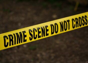 Teen Girl Fatally Stabbed Inside Bronx Deli as 17-Year-Old Charged