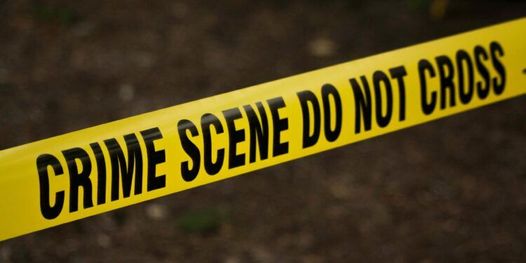 Teen Girl Fatally Stabbed Inside Bronx Deli as 17-Year-Old Charged