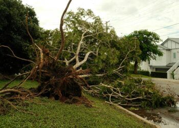 Storm Knocks Out Power to 21,000 and Disrupts Travel Across NYC and New Jersey