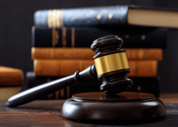 Federal Court Allows ICE to Use Basic Medicaid Data for Immigration Enforcement