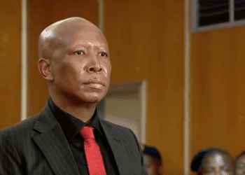 South African Opposition Leader Julius Malema Sentenced to Five Years in Prison Over 2018 Firearm Charges