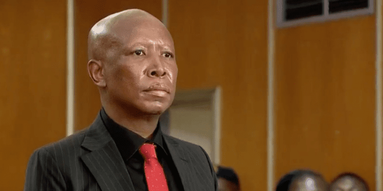 South African Opposition Leader Julius Malema Sentenced to Five Years in Prison Over 2018 Firearm Charges