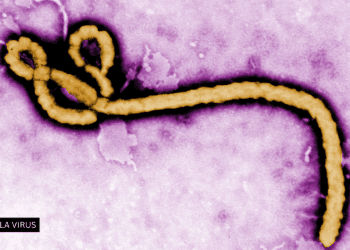 Trump Administration Plans Ebola Care Facility for Americans Exposed in Kenya